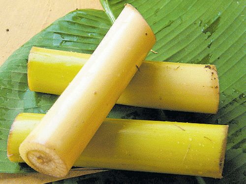 Banana Stem